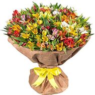 101 альстромерия