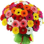 101 gerberas in bouquet