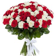 101 red and white rose