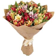 25 alstromeries in paper