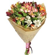 Alstromeria in paper