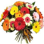 Large bouquet of gerberas