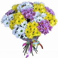 Bouquet of chrysanthemums for woman