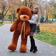 Двометровий Ведмедик