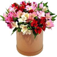 Красивая коробка с альстромериями