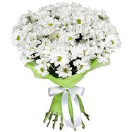 Beautiful bouquet of chamomiles