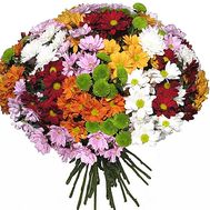 Красочный букет хризантем