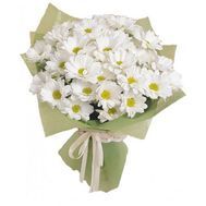 Купить ромашки Харьков