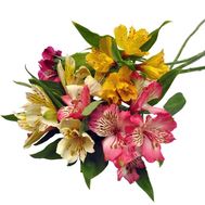 Маленький букет альстромерий