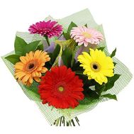 A small bouquet of gerberas