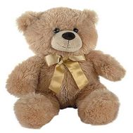 Невеликий Ведмедик