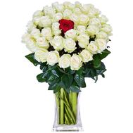 Одна красная роза среди белых роз