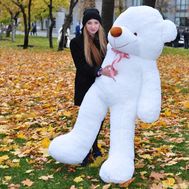 Величезний ведмедик 2 м