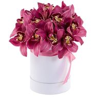 Орхидеи в шляпной коробке