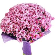 Притягательный букет из розовых хризантем