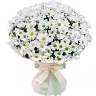 Шикарный букет ромашек