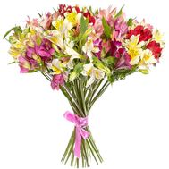 Букет из 19 разноцветных альстромерий