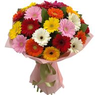 Amazing bouquet of gerberas