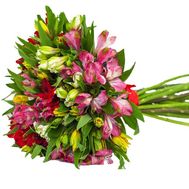 Bright bouquet of alstroemerias