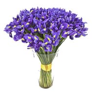 101 iris in a bouquet