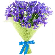Beautiful bouquet of irises