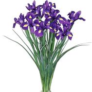 A small bouquet of irises