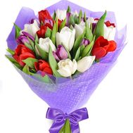 A magnificent bouquet of tulips