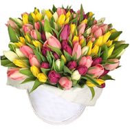 101 тюльпан в коробке