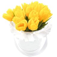 21 yellow tulip in a box