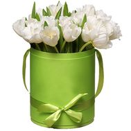 25 white tulips in a box