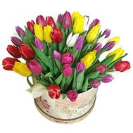 51 разноцветный тюльпан в коробке