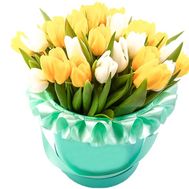 White and yellow tulips in a box