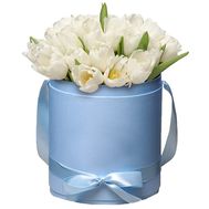 White tulips in a hat box