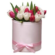 A box of tulips for your beloved