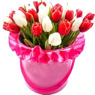 Red and white tulips in a box
