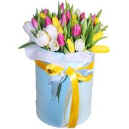 Colorful box of tulips