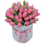 Pink tulips in a box