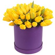 Яркая коробка желтых тюльпанов