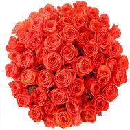 Большой букет оранжевых роз