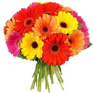 Bouquet of gerberas