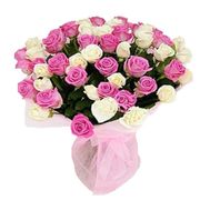 65 нежных роз