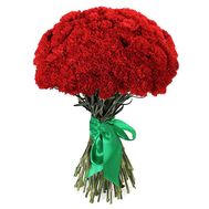 Великий букет гвоздик