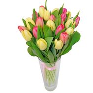 Bouquet of white and pink tulips