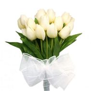 Bouquet of white tulips