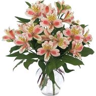 Букет цветов из 9 альстромерий