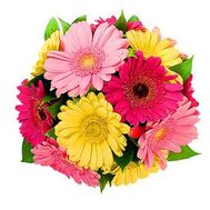 Bouquet of gerberas flowers
