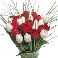 Bouquet of flowers from tulips