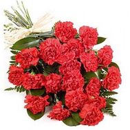 Букет гвоздик
