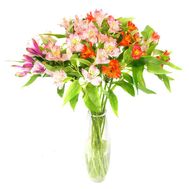 Букет из 11 альстромерий
