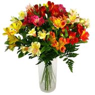 Bouquet of 19 multicolored alstromeries